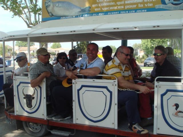 Francia: la Camargue