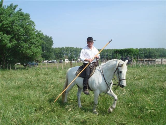 Francia: la Camargue