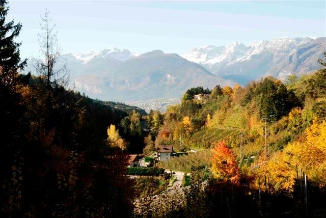 Merano e i Torgellen