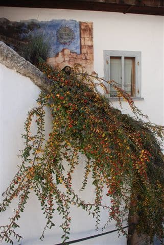 Merano e i Torgellen