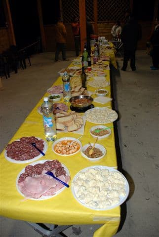 Assemblea 2008