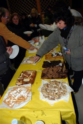 Assemblea 2008