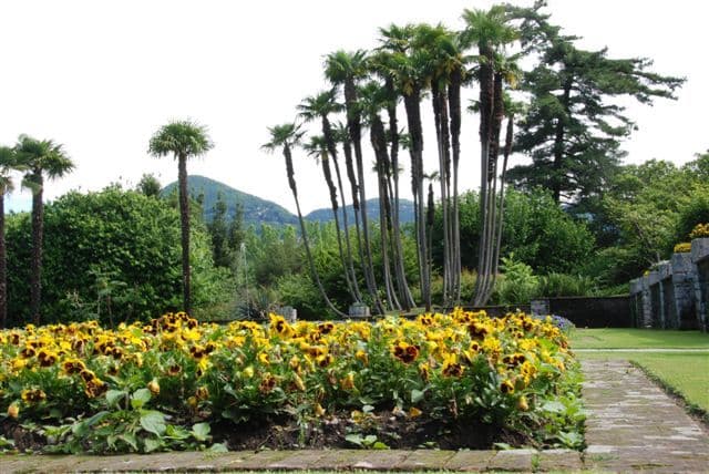 Lago Maggiore Express