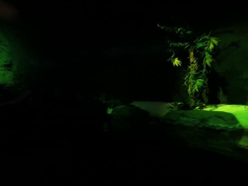 Natale a Gardaland