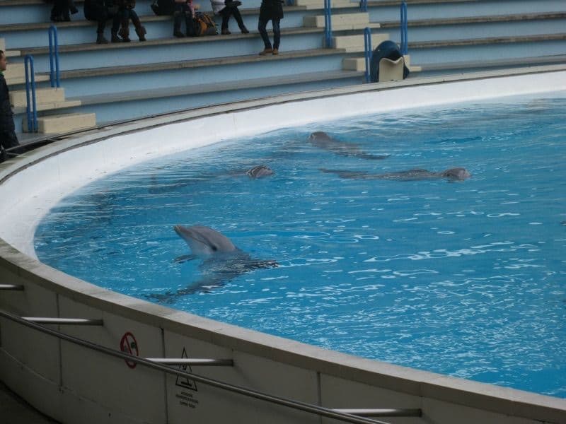 Natale a Gardaland