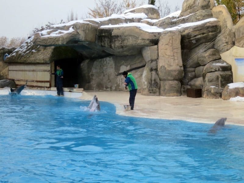 Natale a Gardaland