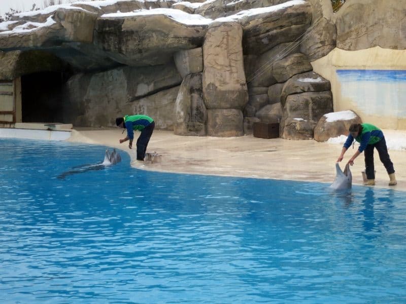 Natale a Gardaland