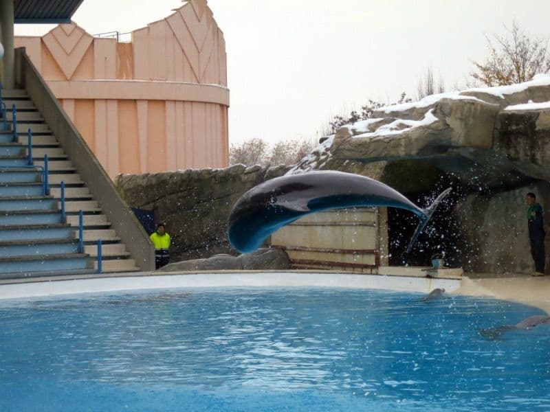 Natale a Gardaland