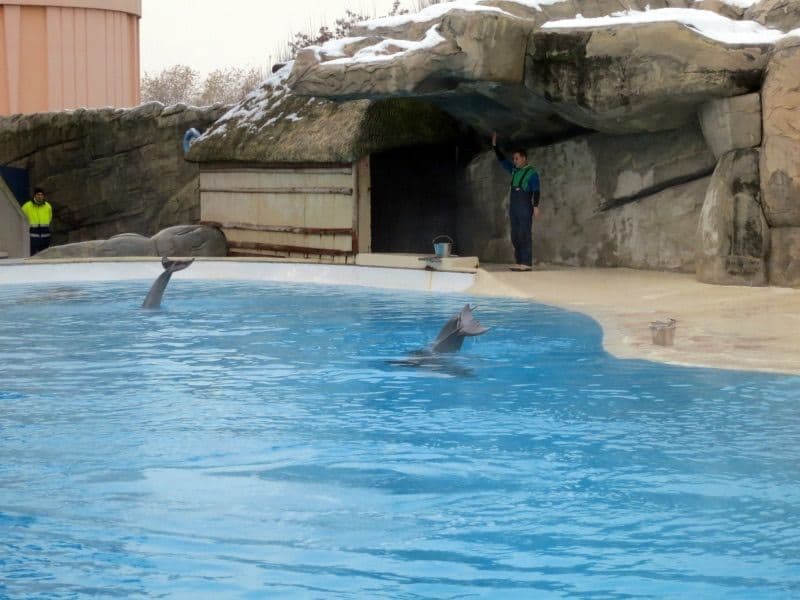 Natale a Gardaland
