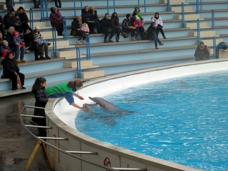 Natale a Gardaland
