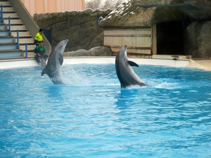 Natale a Gardaland