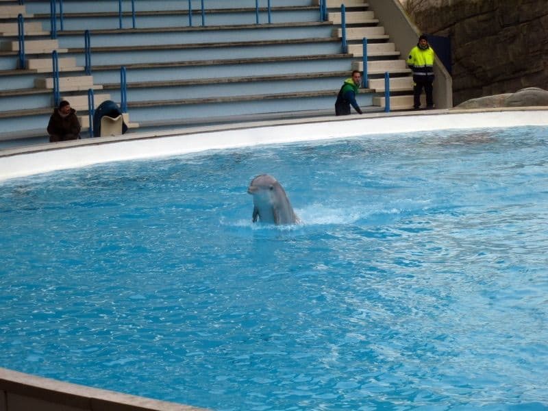 Natale a Gardaland