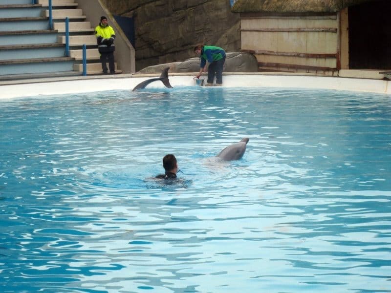 Natale a Gardaland