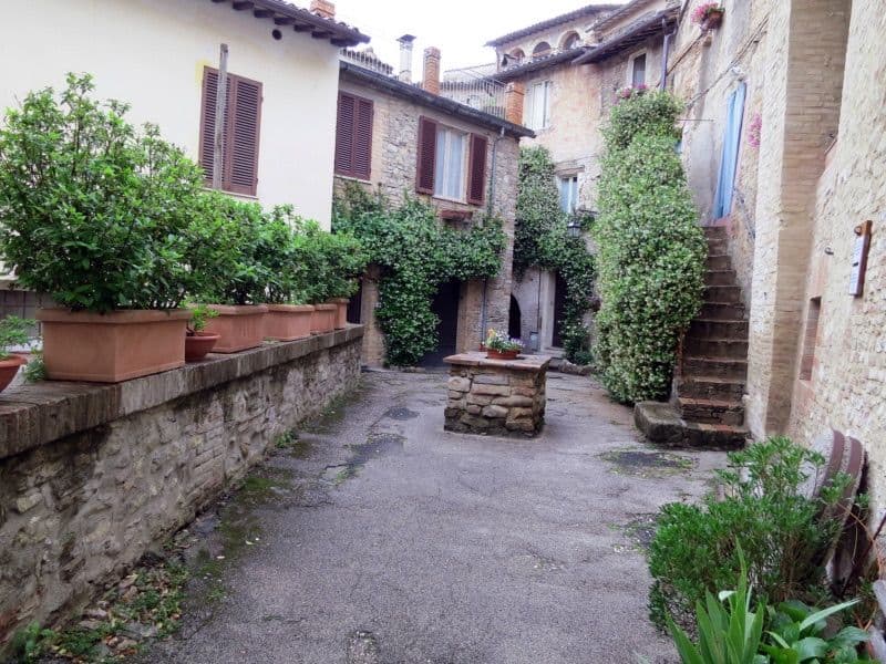 Spello e l'infiorata