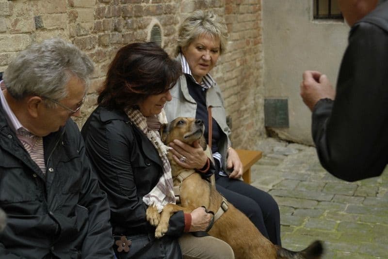 Terre di Siena