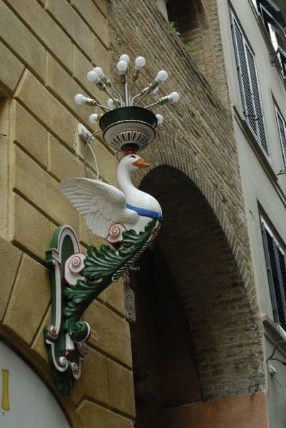 Terre di Siena