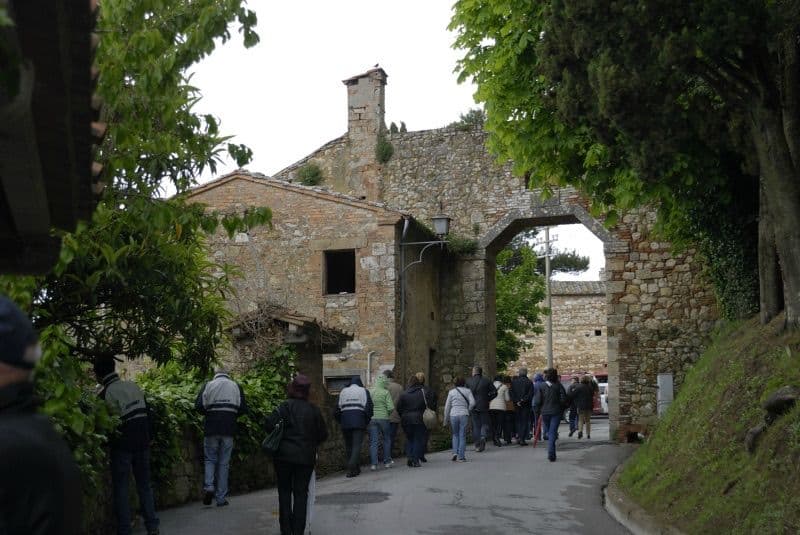 Terre di Siena