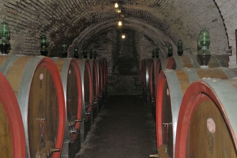 Terre di Siena