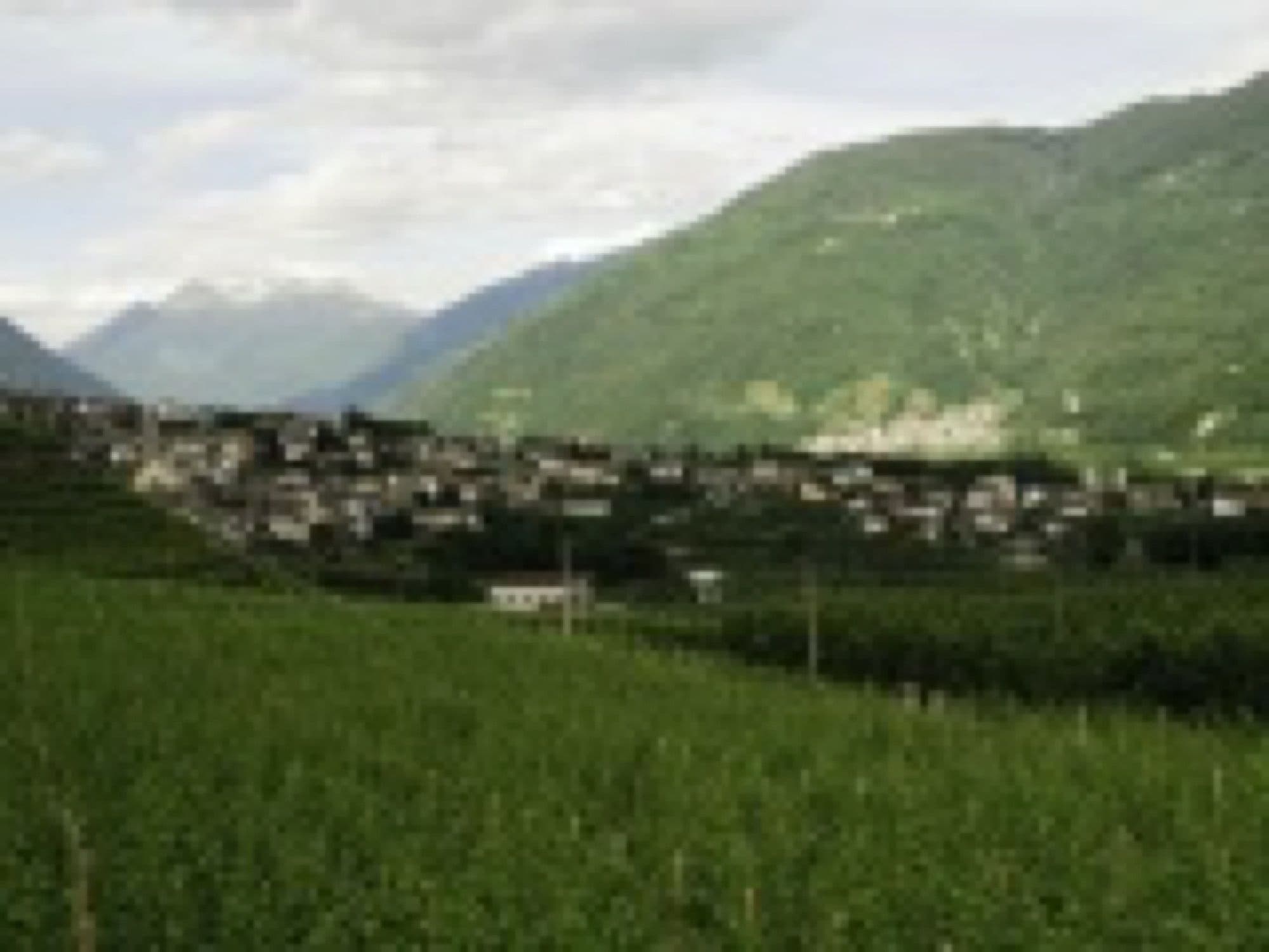 Svizzera: Il trenino del Bernina